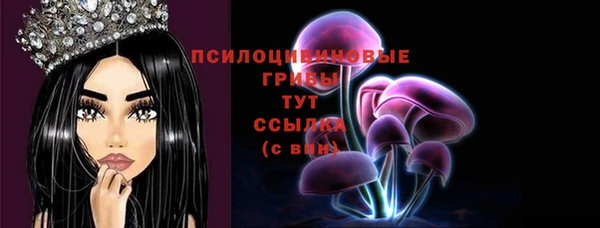 стаф Беломорск