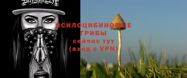 гашик Белоозёрский