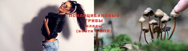 стаф Беломорск