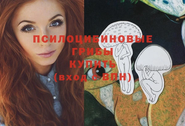 гашик Белоозёрский